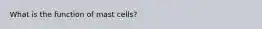 What is the function of mast cells?