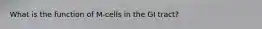 What is the function of M-cells in the GI tract?