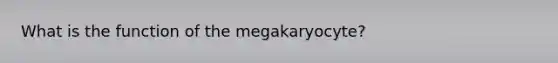 What is the function of the megakaryocyte?