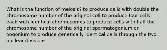 What is the function of meiosis? to produce cells with double the chromosome number of the original cell to produce four cells, each with identical chromosomes to produce cells with half the chromosome number of the original spermatogonium or oogonium to produce genetically identical cells through the two nuclear divisions