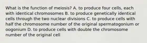 What is the function of meiosis? A. to produce four cells, each with identical chromosomes B. to produce genetically identical cells through the two nuclear divisions C. to produce cells with half the chromosome number of the original spermatogonium or oogonium D. to produce cells with double the chromosome number of the original cell