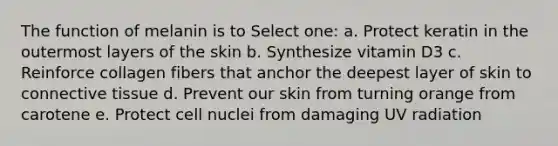 The function of melanin is to Select one: a. Protect keratin in the outermost layers of the skin b. Synthesize vitamin D3 c. Reinforce collagen fibers that anchor the deepest layer of skin to connective tissue d. Prevent our skin from turning orange from carotene e. Protect cell nuclei from damaging UV radiation