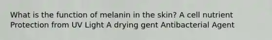 What is the function of melanin in the skin? A cell nutrient Protection from UV Light A drying gent Antibacterial Agent
