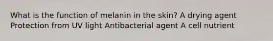 What is the function of melanin in the skin? A drying agent Protection from UV light Antibacterial agent A cell nutrient