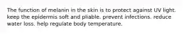 The function of melanin in the skin is to protect against UV light. keep the epidermis soft and pliable. prevent infections. reduce water loss. help regulate body temperature.