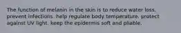 The function of melanin in the skin is to reduce water loss. prevent infections. help regulate body temperature. protect against UV light. keep the epidermis soft and pliable.