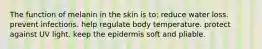 The function of melanin in the skin is to: reduce water loss. prevent infections. help regulate body temperature. protect against UV light. keep the epidermis soft and pliable.