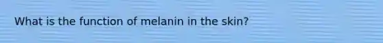 What is the function of melanin in the skin?