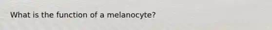 What is the function of a melanocyte?