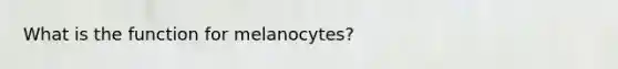 What is the function for melanocytes?