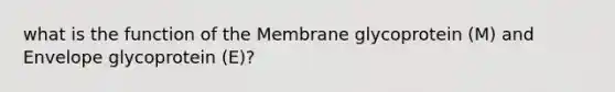 what is the function of the Membrane glycoprotein (M) and Envelope glycoprotein (E)?