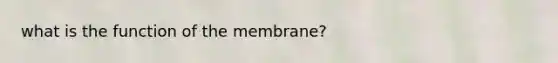 what is the function of the membrane?