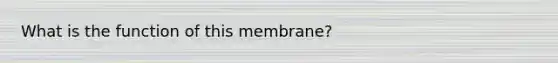 What is the function of this membrane?