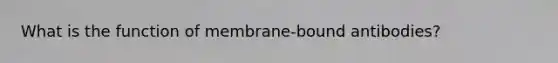 What is the function of membrane-bound antibodies?