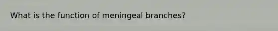 What is the function of meningeal branches?