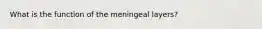 What is the function of the meningeal layers?