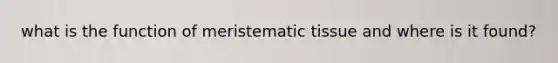 what is the function of meristematic tissue and where is it found?