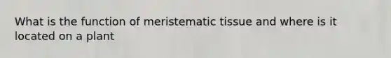 What is the function of meristematic tissue and where is it located on a plant