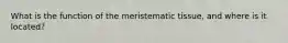 What is the function of the meristematic tissue, and where is it located?