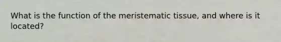 What is the function of the meristematic tissue, and where is it located?