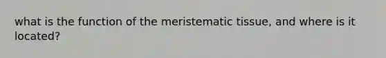 what is the function of the <a href='https://www.questionai.com/knowledge/kh2R1rHa5M-meristematic-tissue' class='anchor-knowledge'>meristematic tissue</a>, and where is it located?