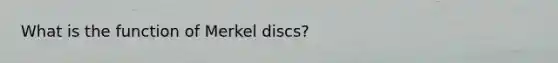 What is the function of Merkel discs?