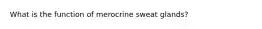 What is the function of merocrine sweat glands?