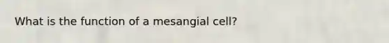 What is the function of a mesangial cell?