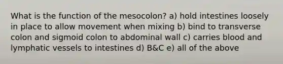 What is the function of the mesocolon? a) hold intestines loosely in place to allow movement when mixing b) bind to transverse colon and sigmoid colon to abdominal wall c) carries blood and <a href='https://www.questionai.com/knowledge/ki6sUebkzn-lymphatic-vessels' class='anchor-knowledge'>lymphatic vessels</a> to intestines d) B&C e) all of the above