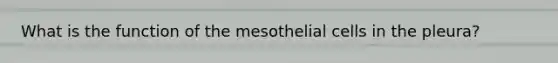 What is the function of the mesothelial cells in the pleura?