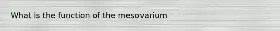 What is the function of the mesovarium