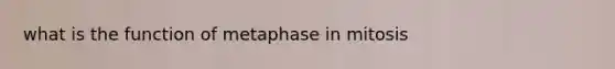 what is the function of metaphase in mitosis