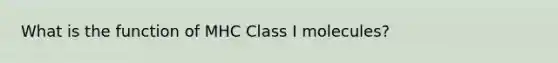 What is the function of MHC Class I molecules?