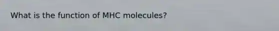 What is the function of MHC molecules?