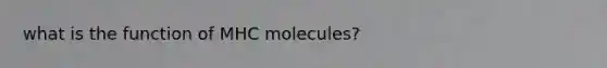 what is the function of MHC molecules?