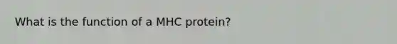 What is the function of a MHC protein?