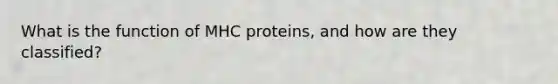 What is the function of MHC proteins, and how are they classified?