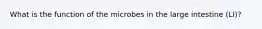 What is the function of the microbes in the large intestine (LI)?