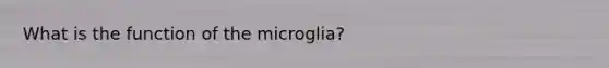 What is the function of the microglia?