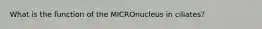 What is the function of the MICROnucleus in ciliates?