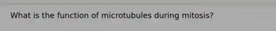 What is the function of microtubules during mitosis?