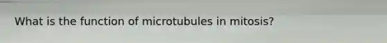 What is the function of microtubules in mitosis?