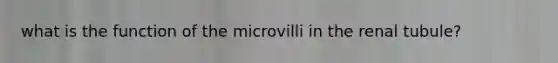 what is the function of the microvilli in the renal tubule?