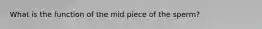 What is the function of the mid piece of the sperm?