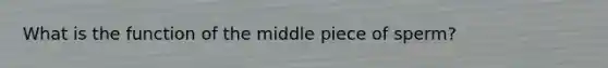 What is the function of the middle piece of sperm?