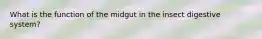 What is the function of the midgut in the insect digestive system?