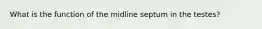 What is the function of the midline septum in the testes?