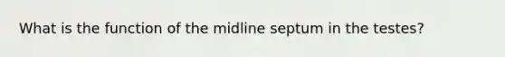 What is the function of the midline septum in the testes?