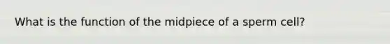 What is the function of the midpiece of a sperm cell?