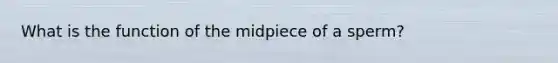 What is the function of the midpiece of a sperm?